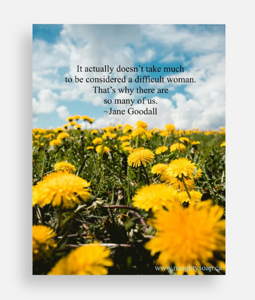 Jane Goodall quote postcard